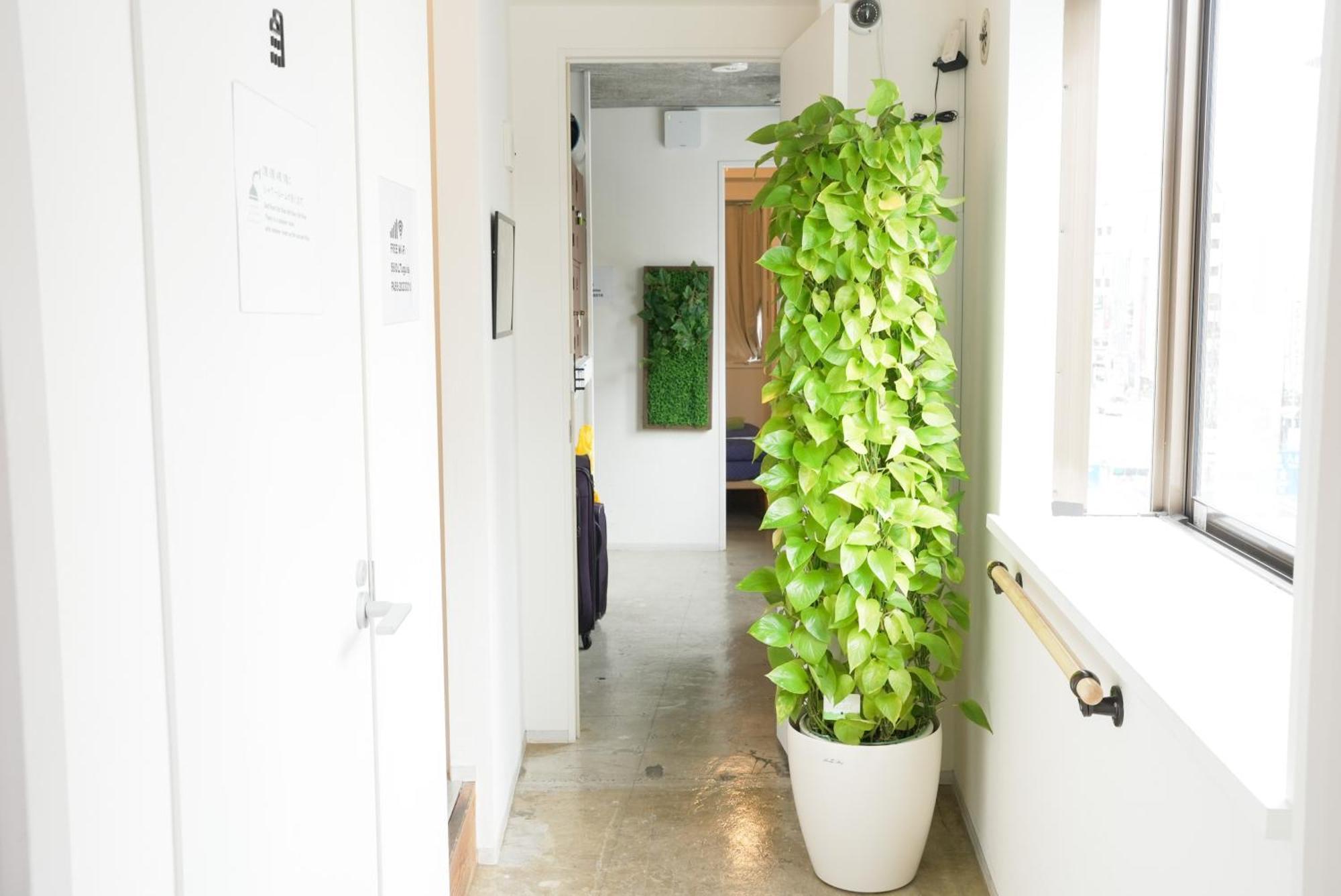 Hostel Lodging Tokyo Uguisudani Exterior photo
